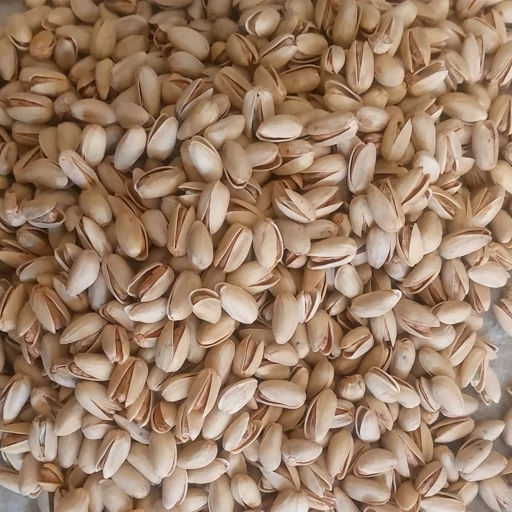 پسته اکبری درشت و خندان + مناسب تجارت حرفه ای خشکبار + قیمت و خرید عمده